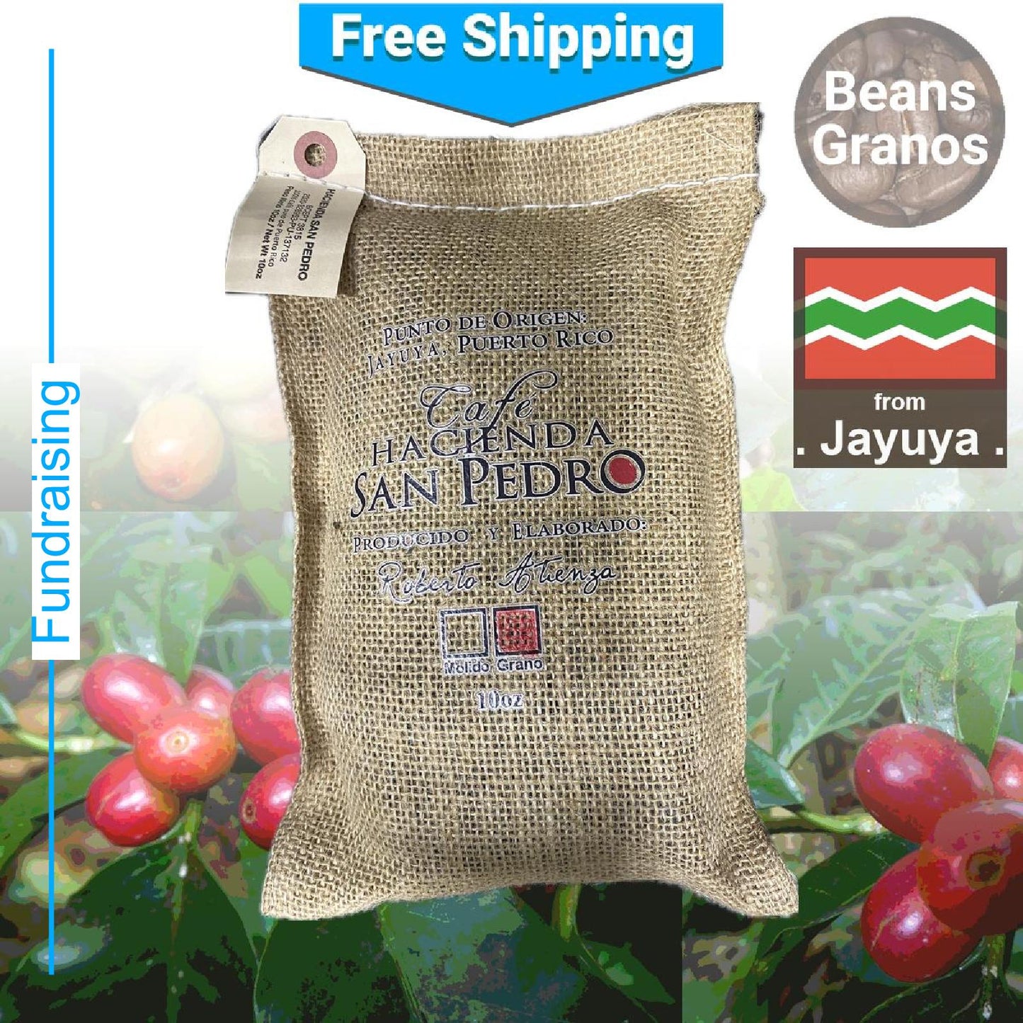 Café San Pedro Gourmet Coffee Beans para recaudación de fondos