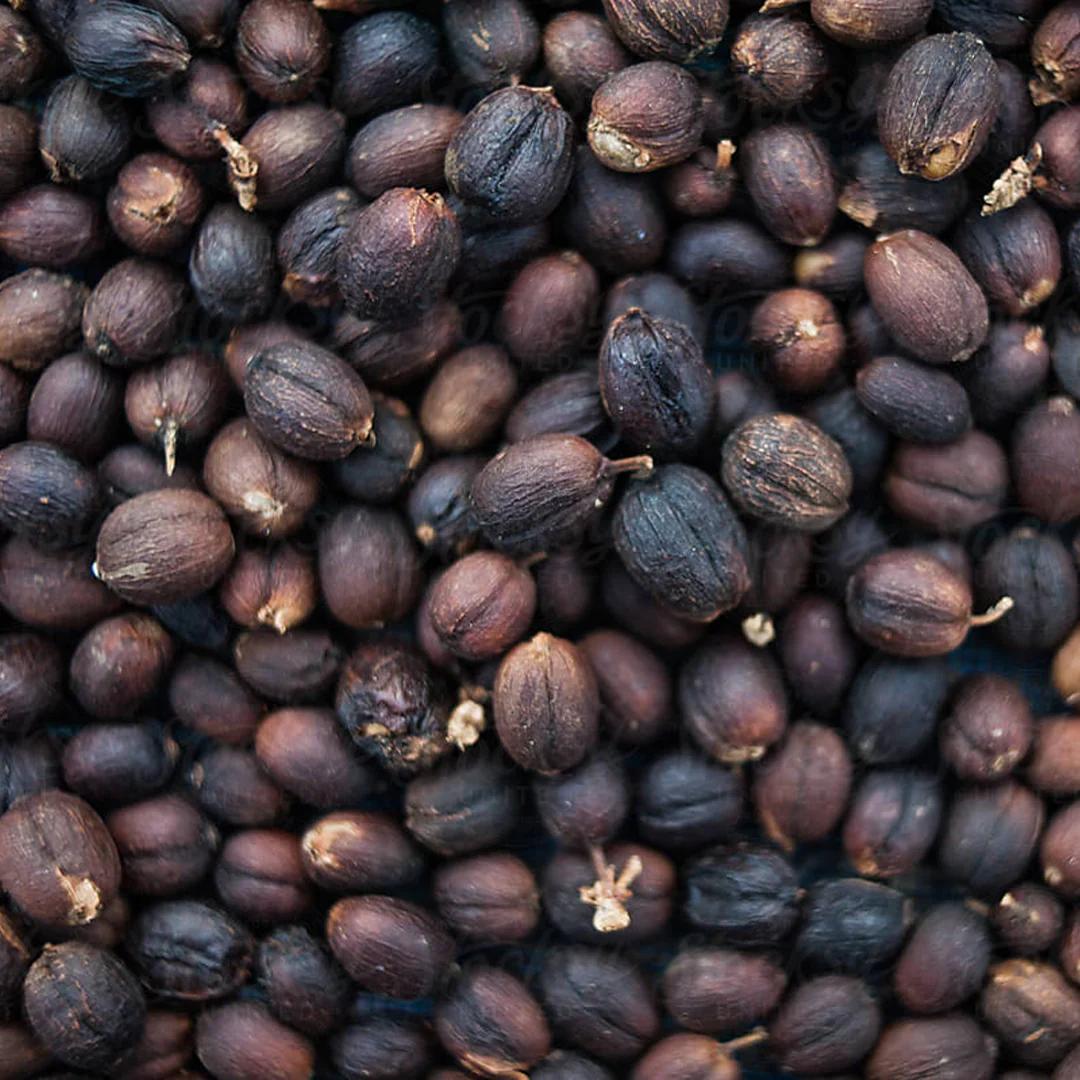 Granos de café Terrafé: Proceso natural de Alquimia
