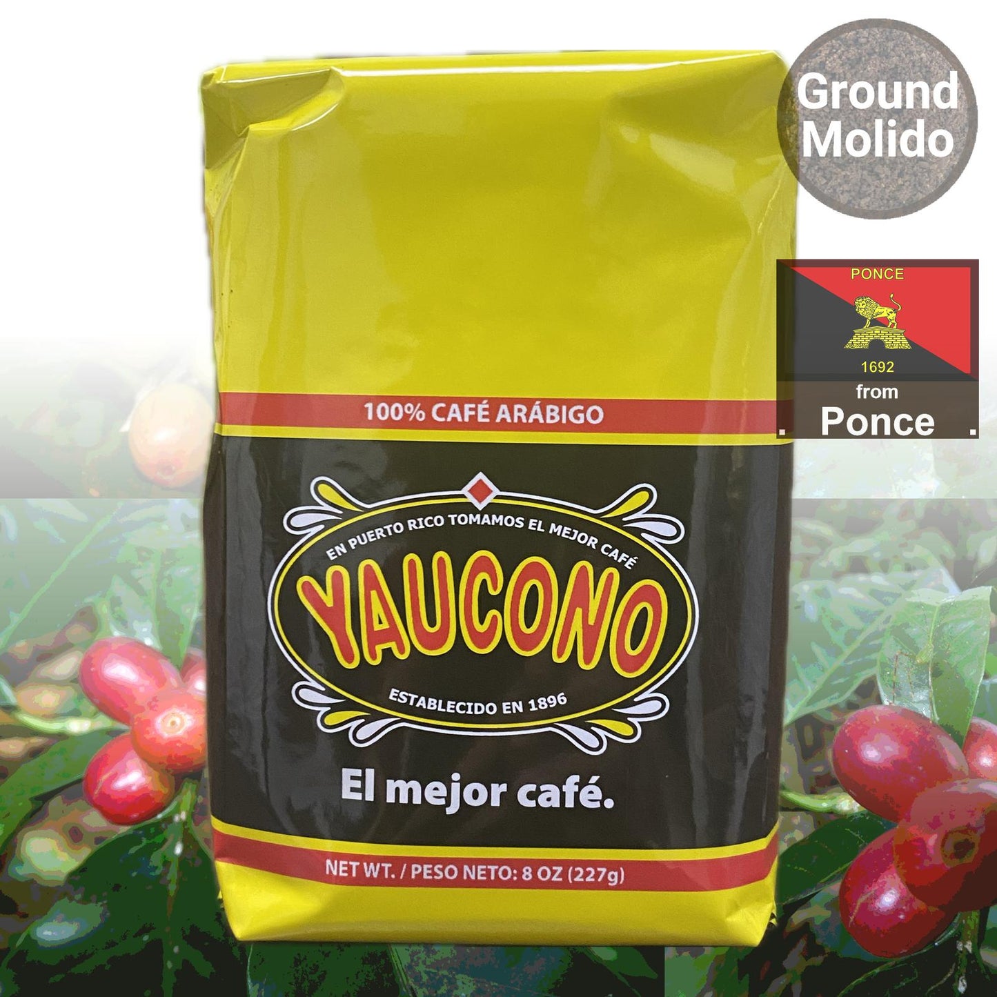 Maga Flower and Coquí Greca Moka Pot and Two Yauconito Coffees