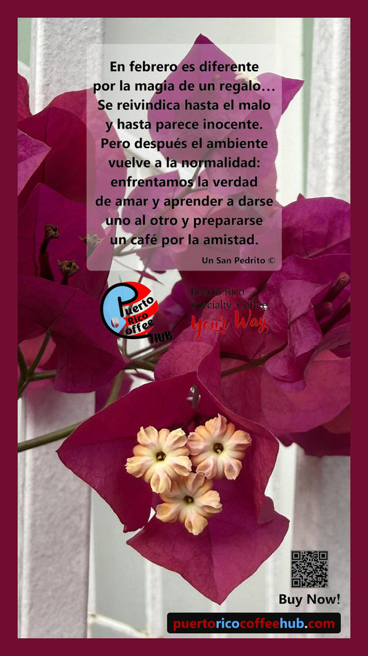 Un café por la amistad