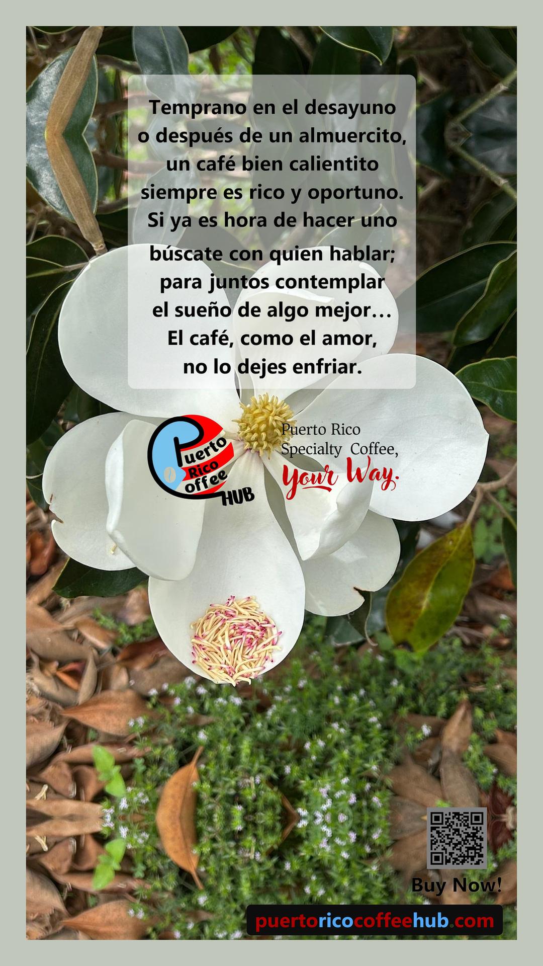 No lo dejes enfriar