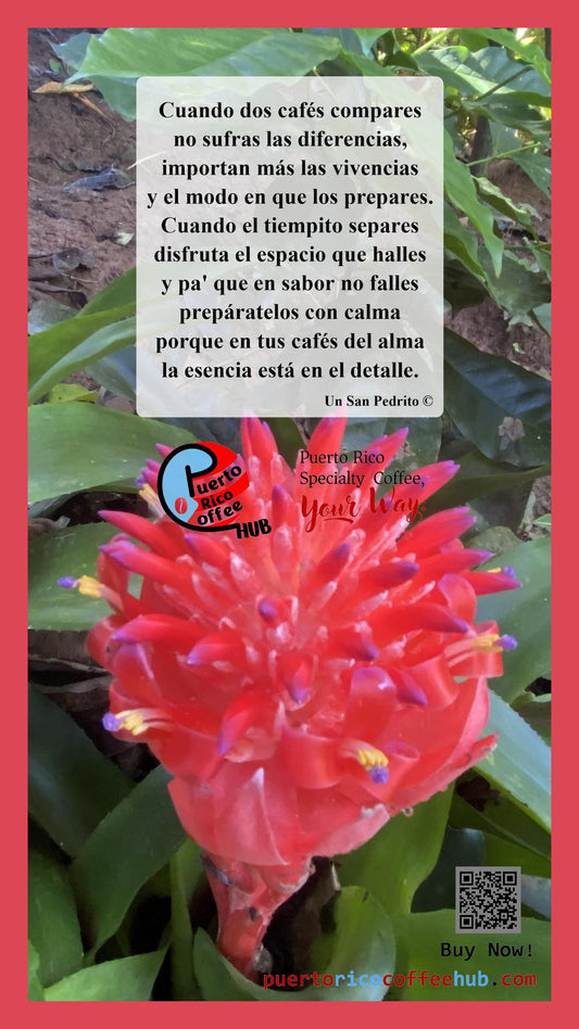 El detalle en el café
