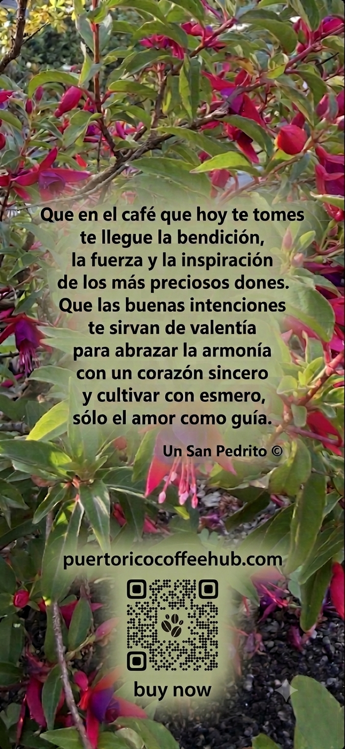 El café de hoy