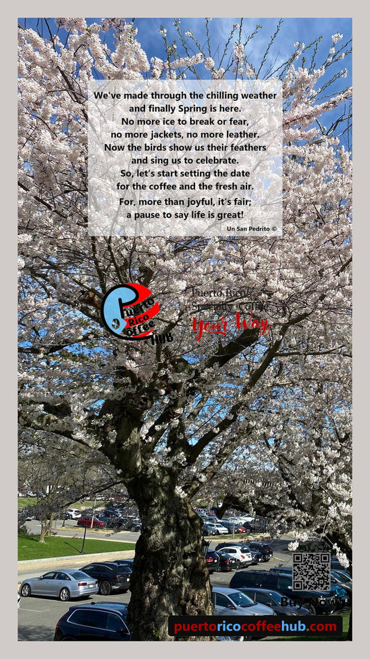Spring Café